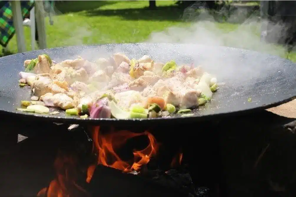 kuracie kúsky opekané na grilovacom pláte nad ohňom